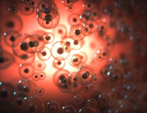 Conceptual Scientific Background Cells and Molecules