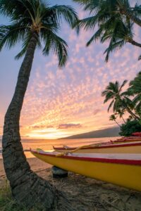 Hawaiian canoes and palms at sunset on Maui.