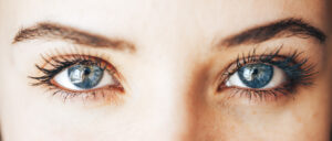 close up blue Eye