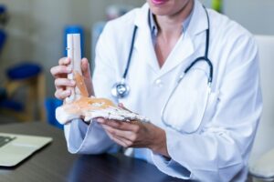 Physiotherapist holding a skeleton feet model